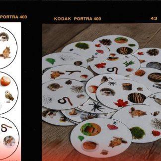 Zoek & Vind! – Herfstspel printable (als Dobble)